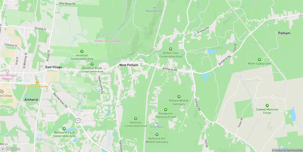 Internet in Amherst