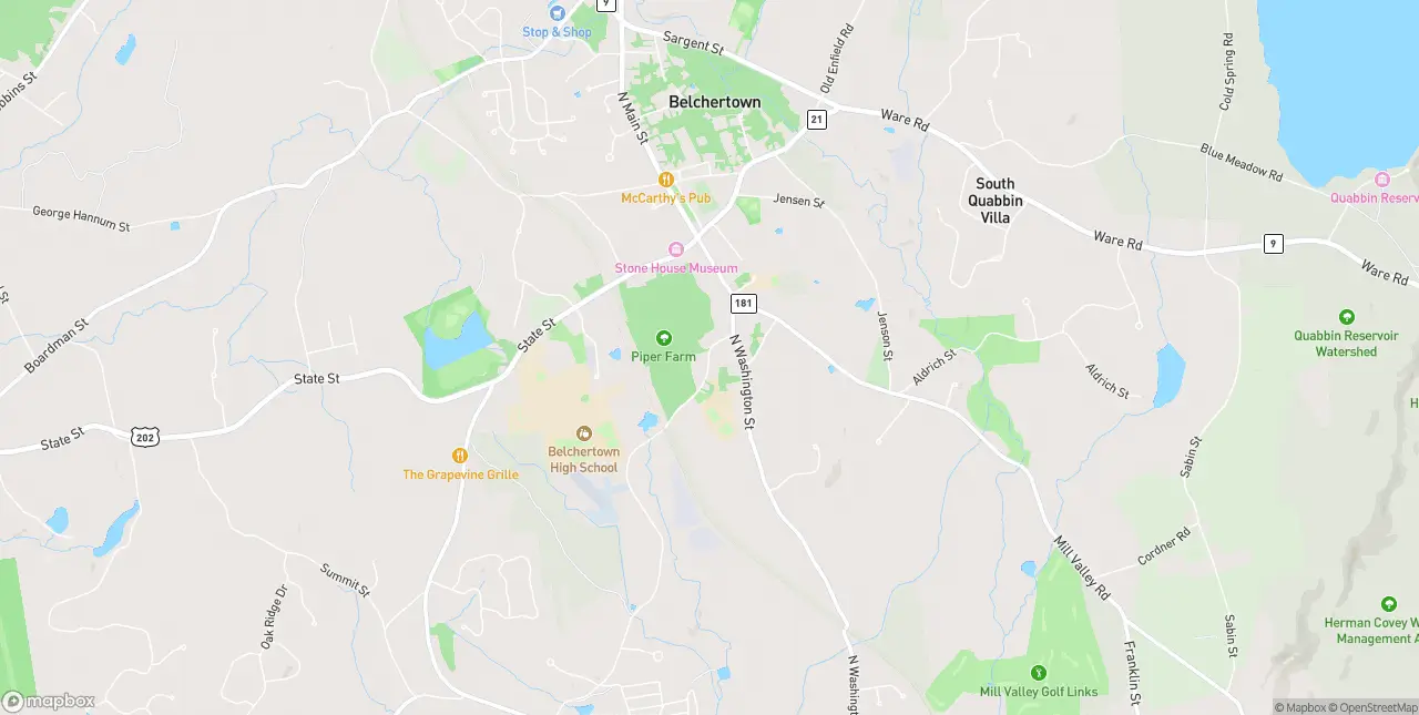Internet in Belchertown