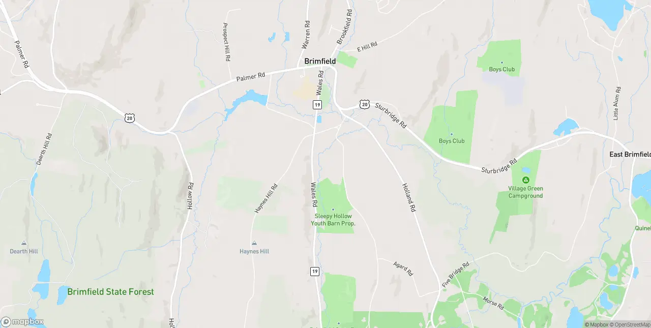 Internet in Brimfield