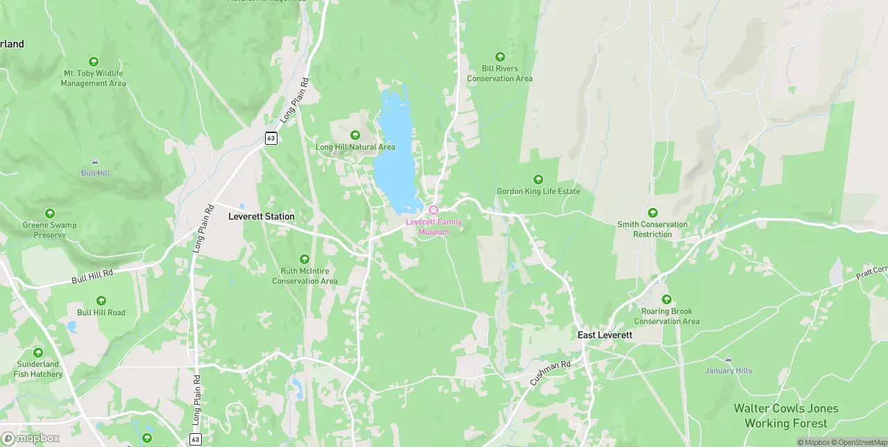 Internet in Leverett