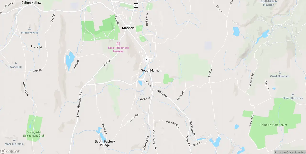 Internet in Monson