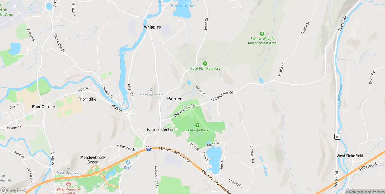 Internet in Palmer