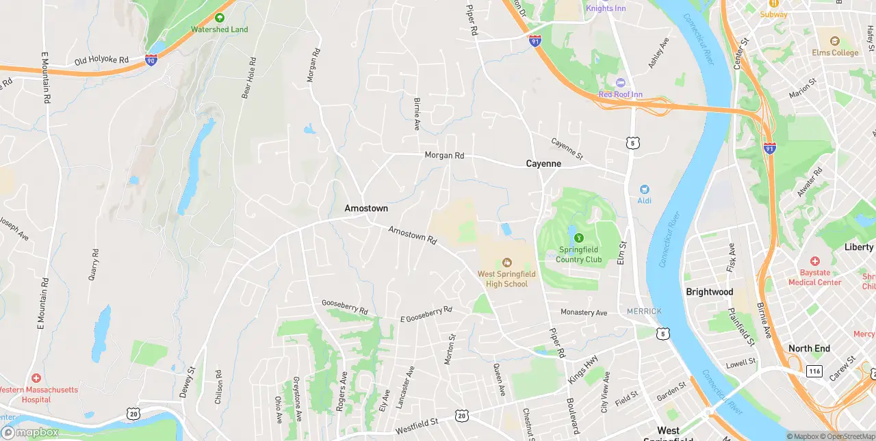 Internet in West Springfield