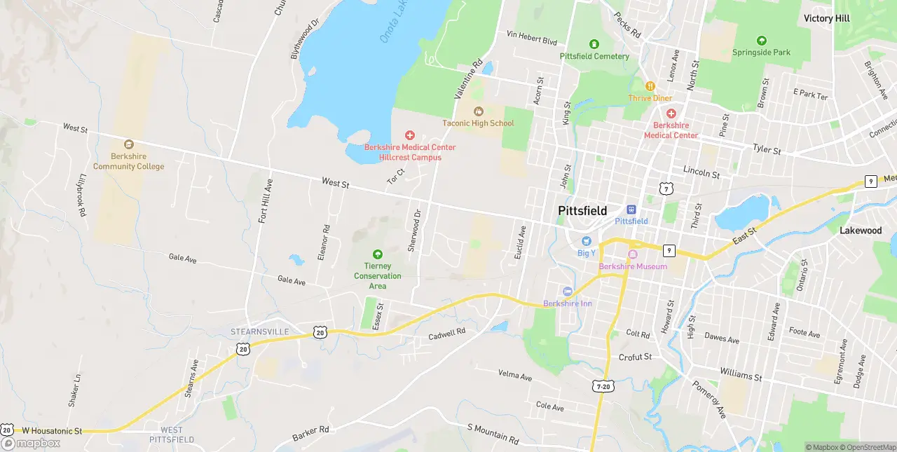 Internet in Pittsfield