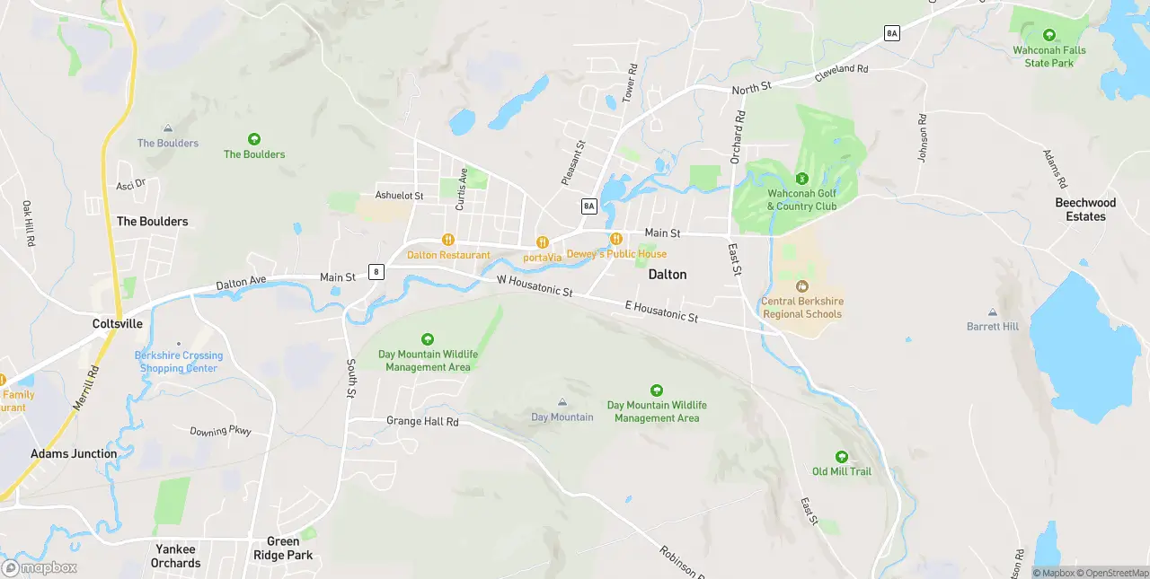 Internet in Dalton