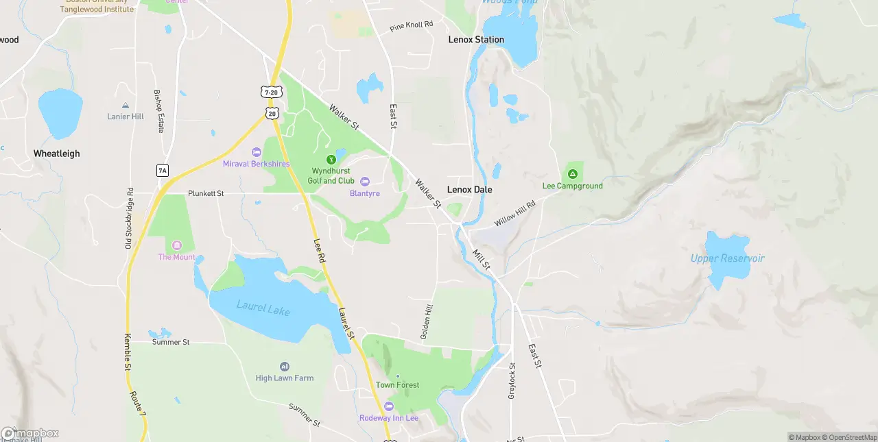 Internet in Lenox Dale