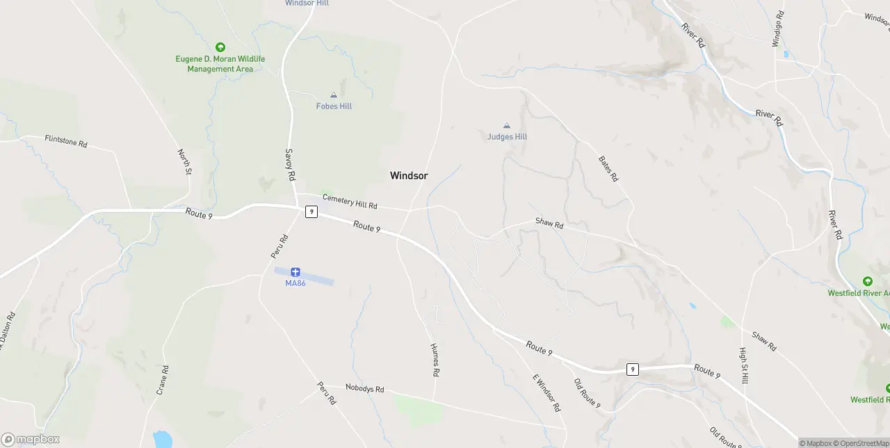 Internet in Windsor