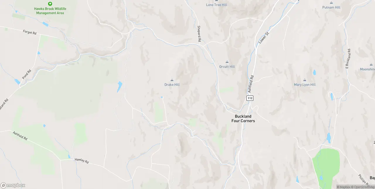 Internet in Buckland