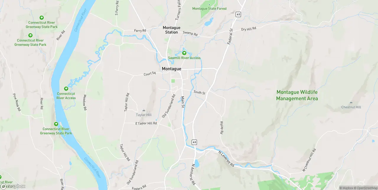 Internet in Montague