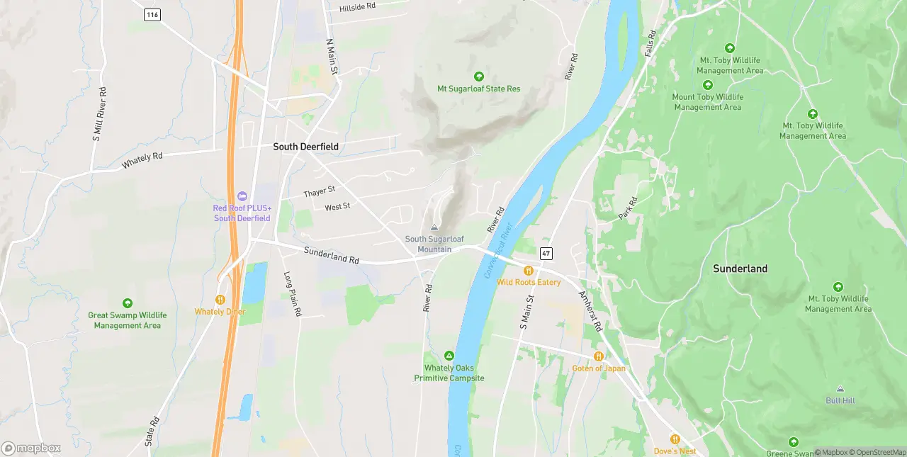 Internet in South Deerfield