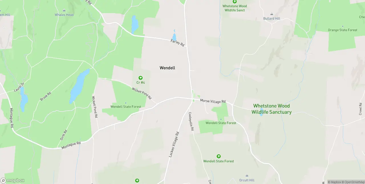 Internet in Wendell