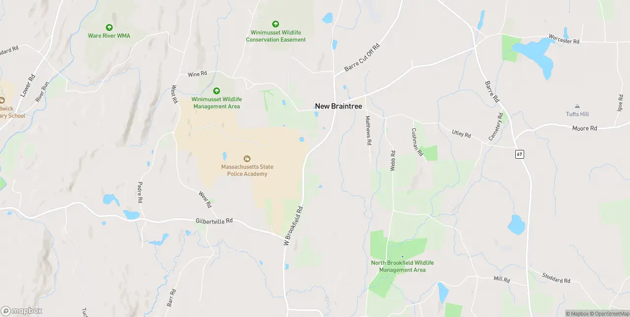 Internet in New Braintree