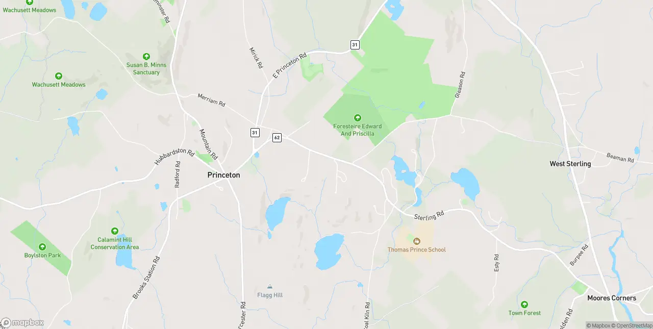 Internet in Princeton