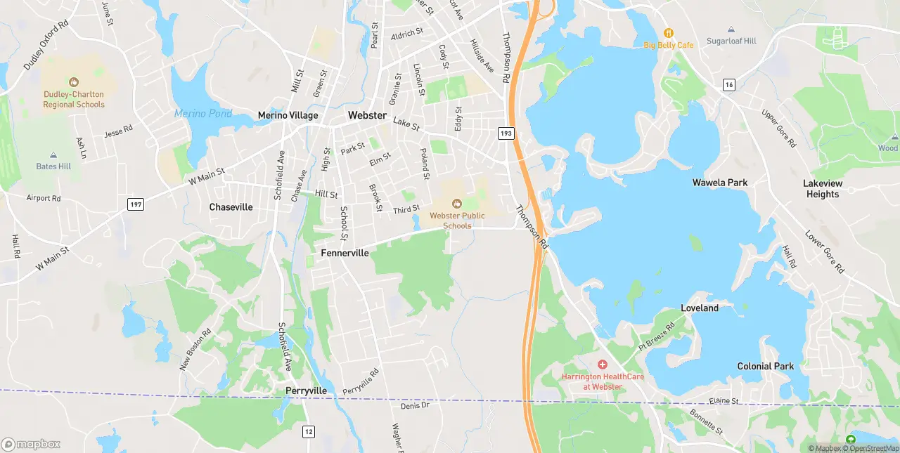 Internet in Webster