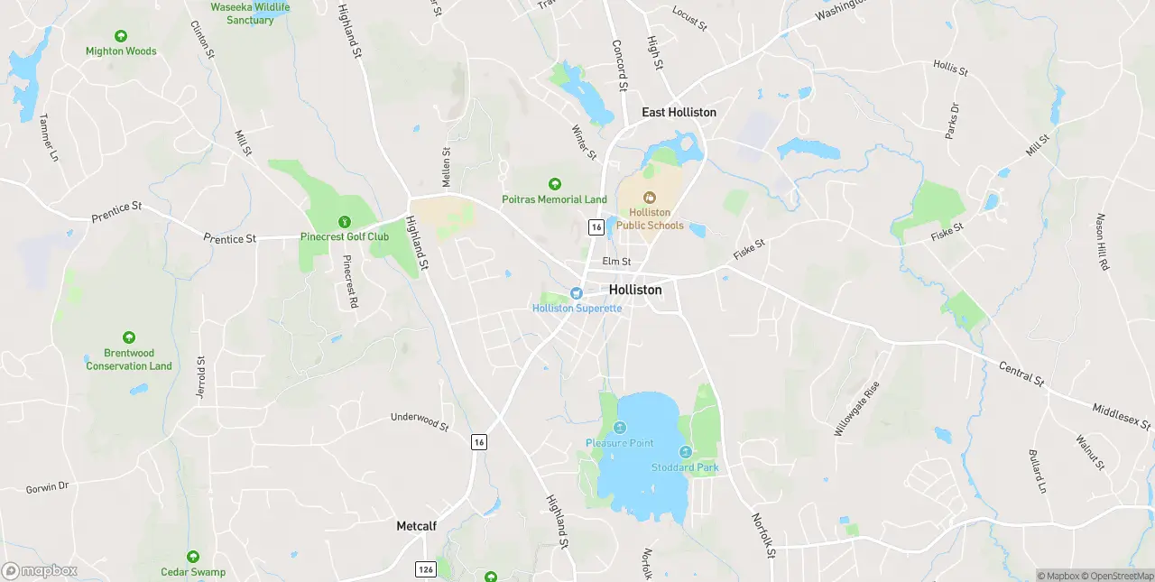 Internet in Holliston