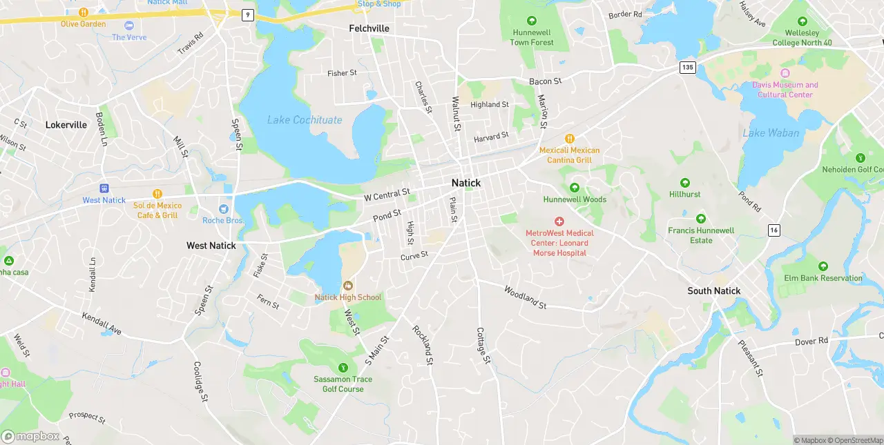 Internet in Natick