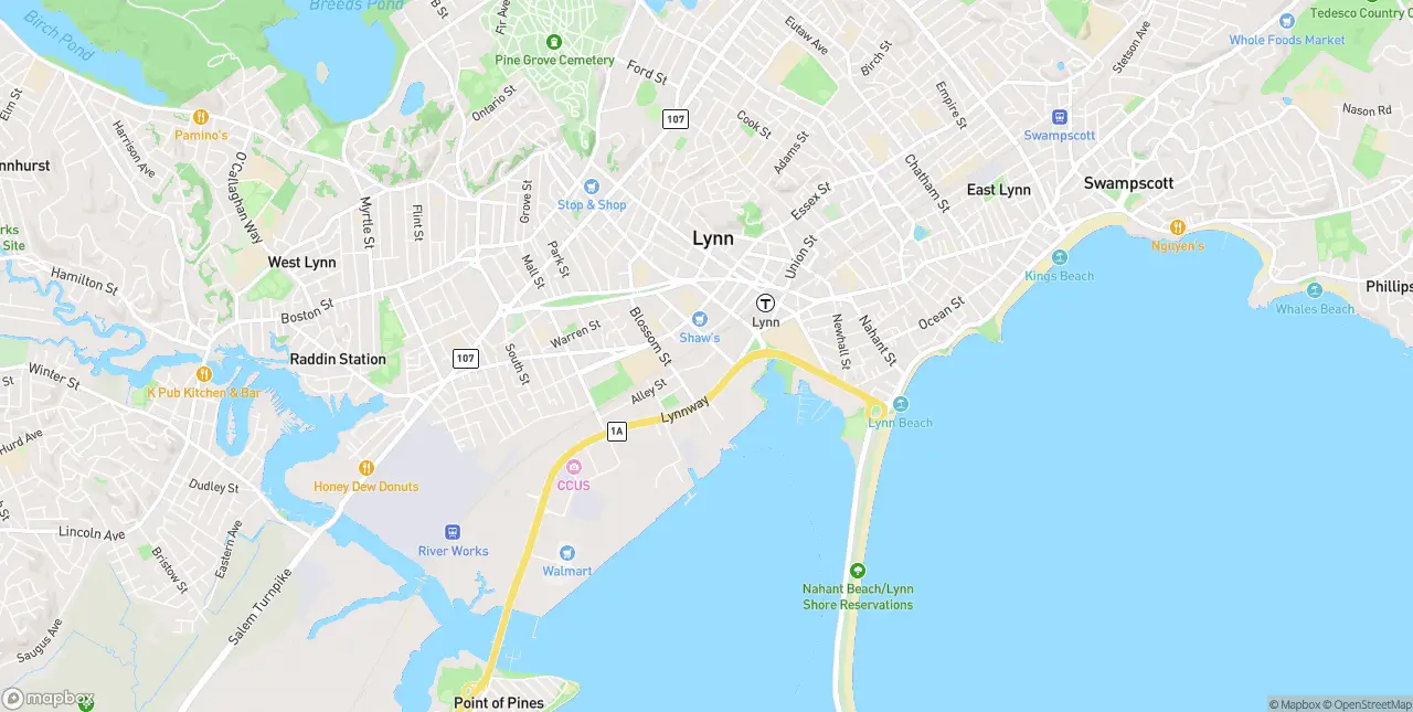 Internet in Lynn