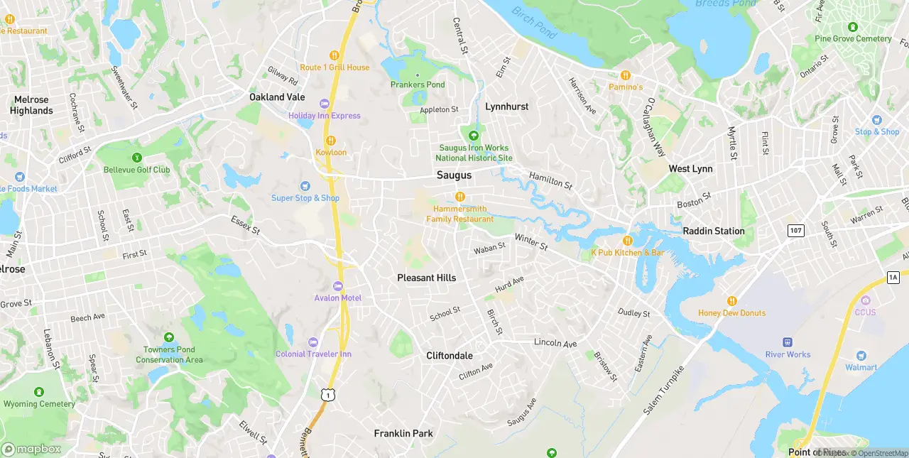 Internet in Saugus