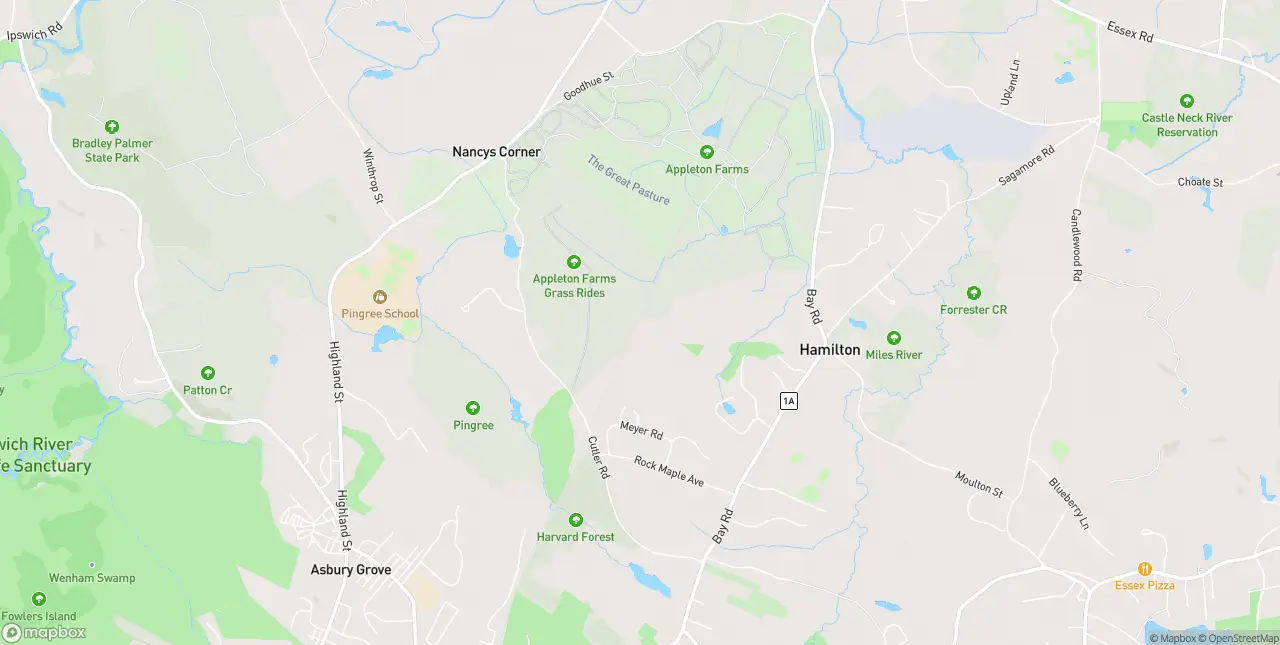 Internet in Hamilton