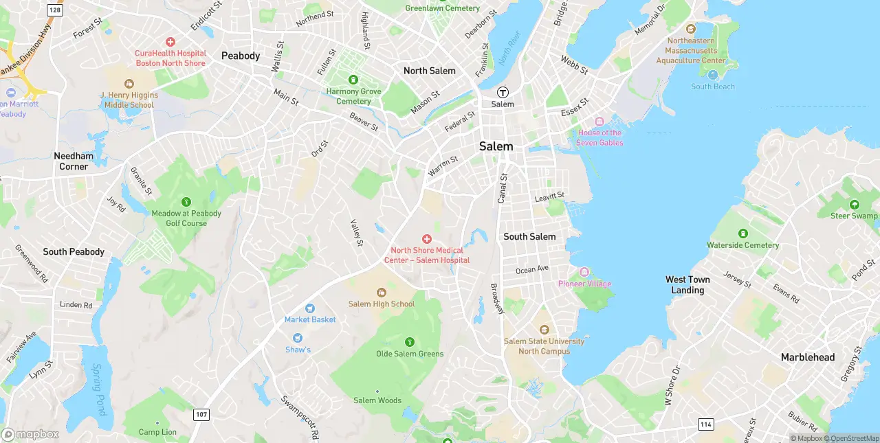 Internet in Salem