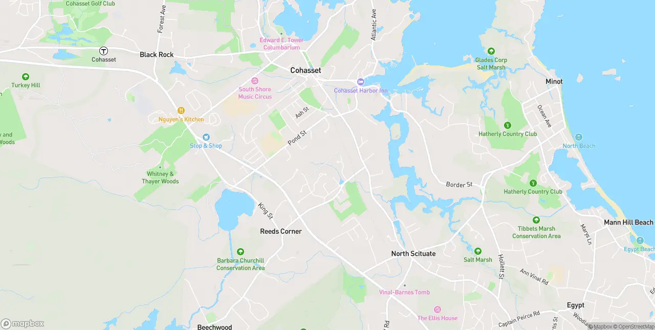 Internet in Cohasset