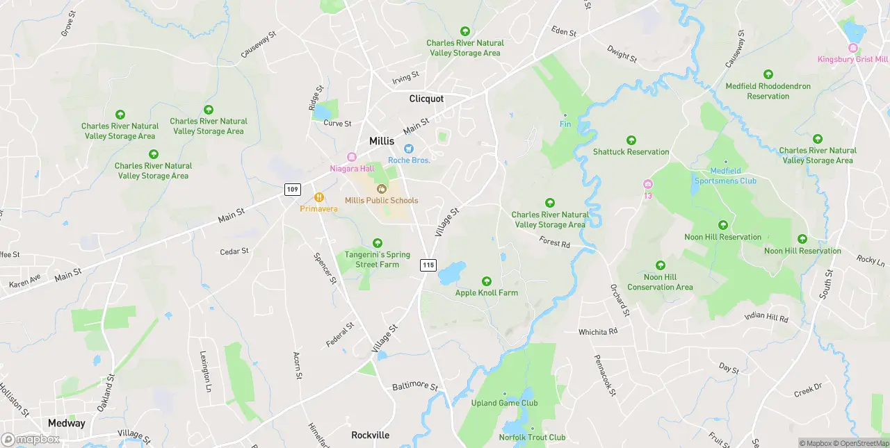 Internet in Millis