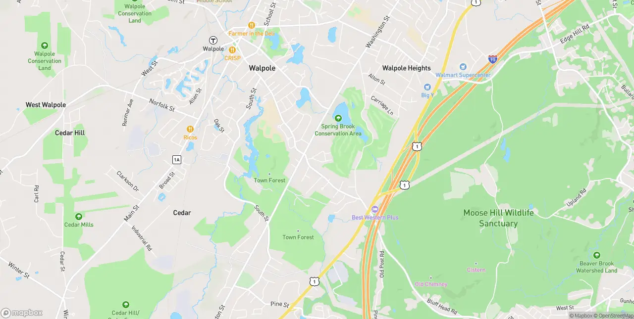 Internet in Walpole