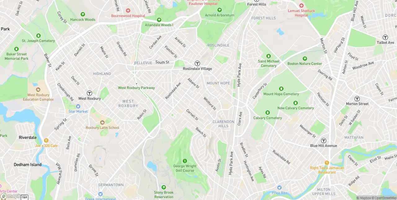Internet in Roslindale