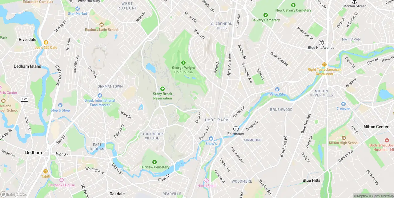 Internet in Hyde Park