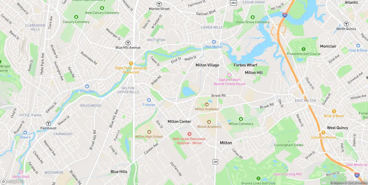 Internet in Milton Village
