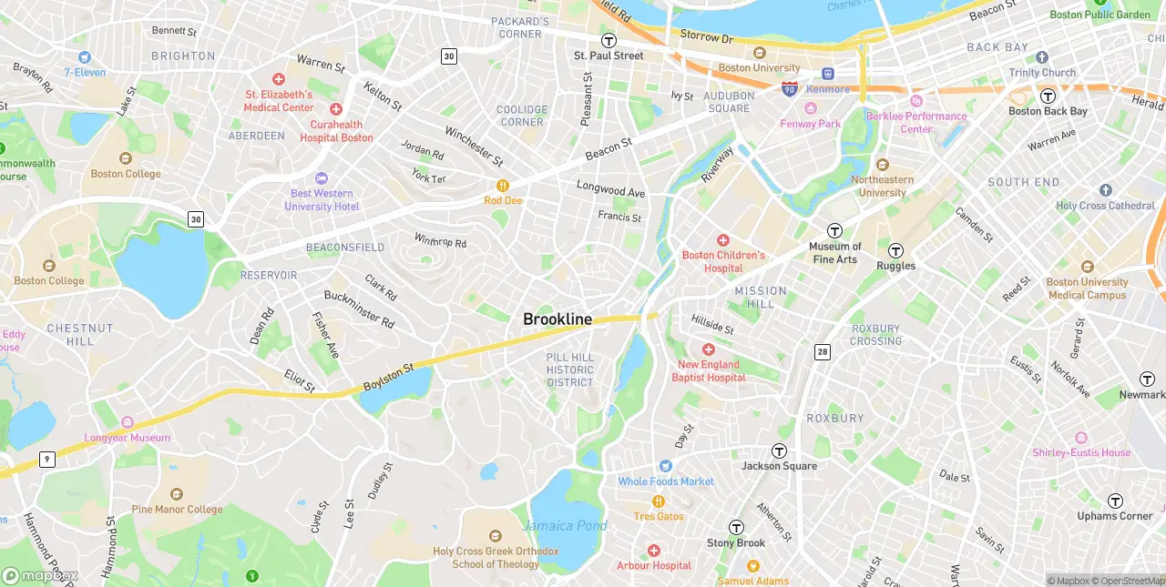 Internet in Brookline Village