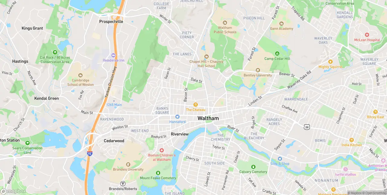 Internet in Waltham