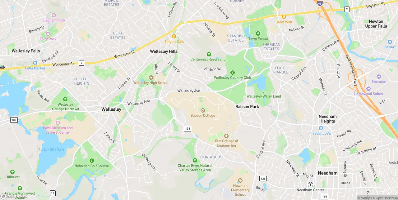 Internet in Babson Park