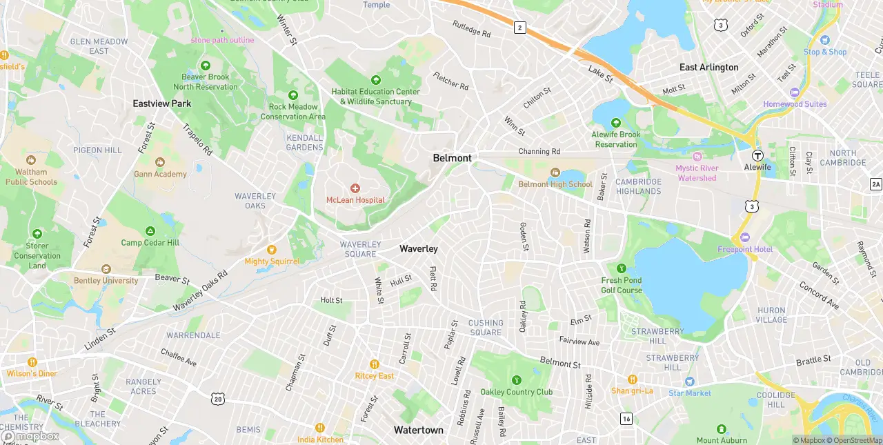 Internet in Belmont