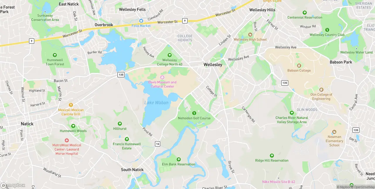Internet in Wellesley