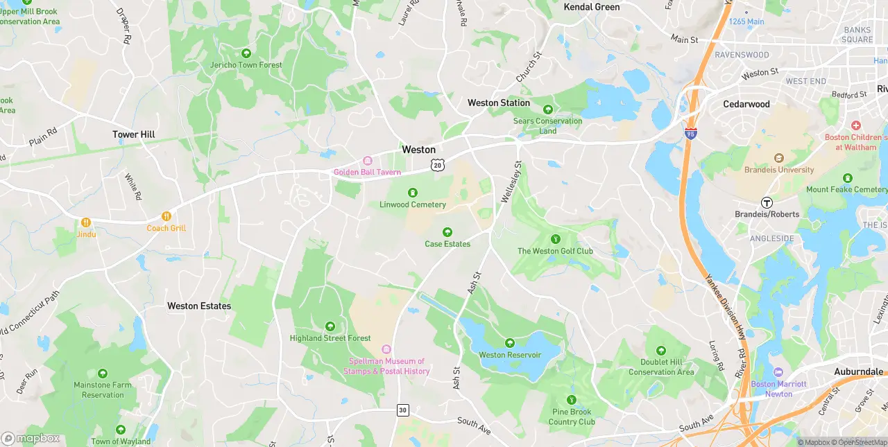 Internet in Weston