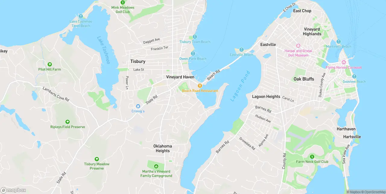 Internet in Vineyard Haven