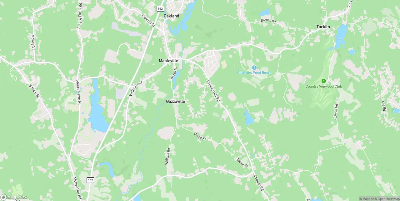 Internet in Mapleville