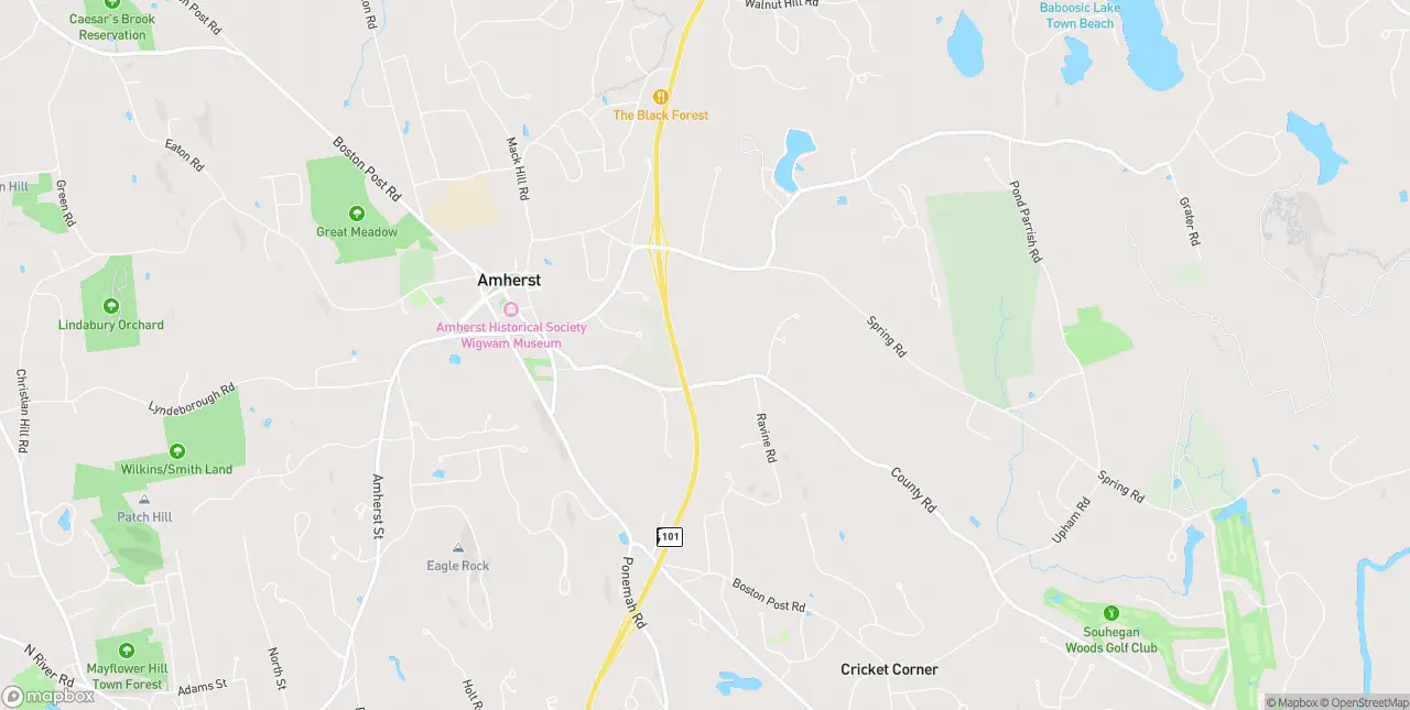 Internet in Amherst