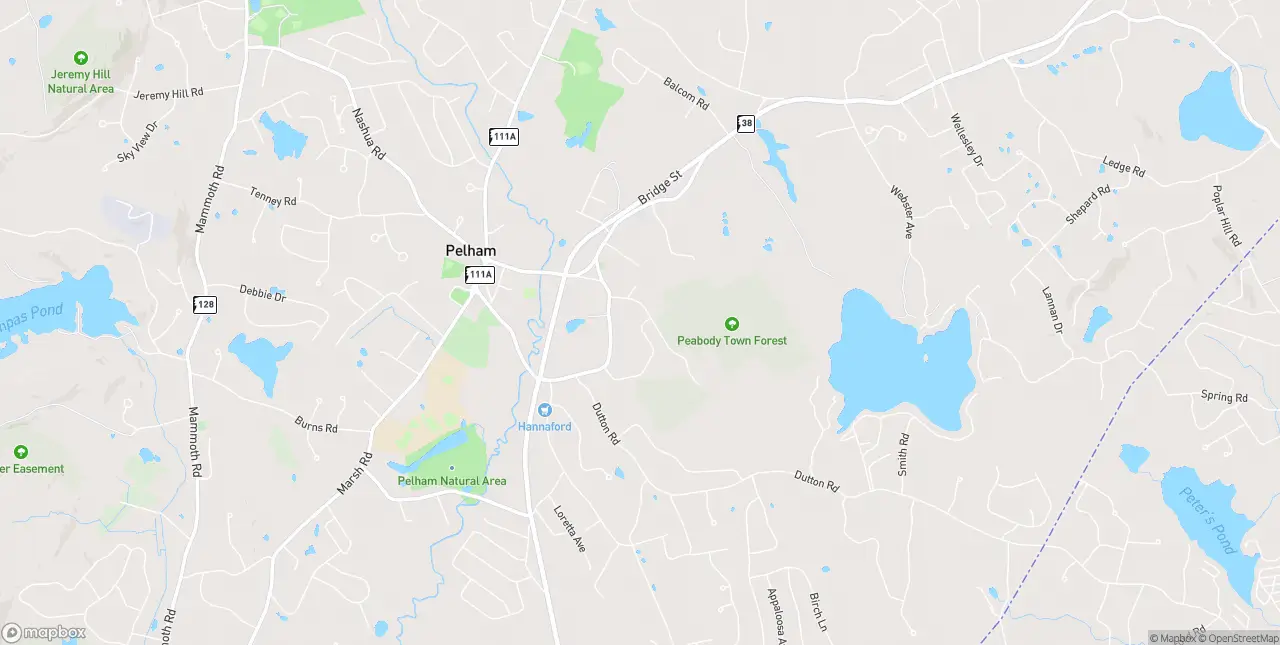 Internet in Pelham