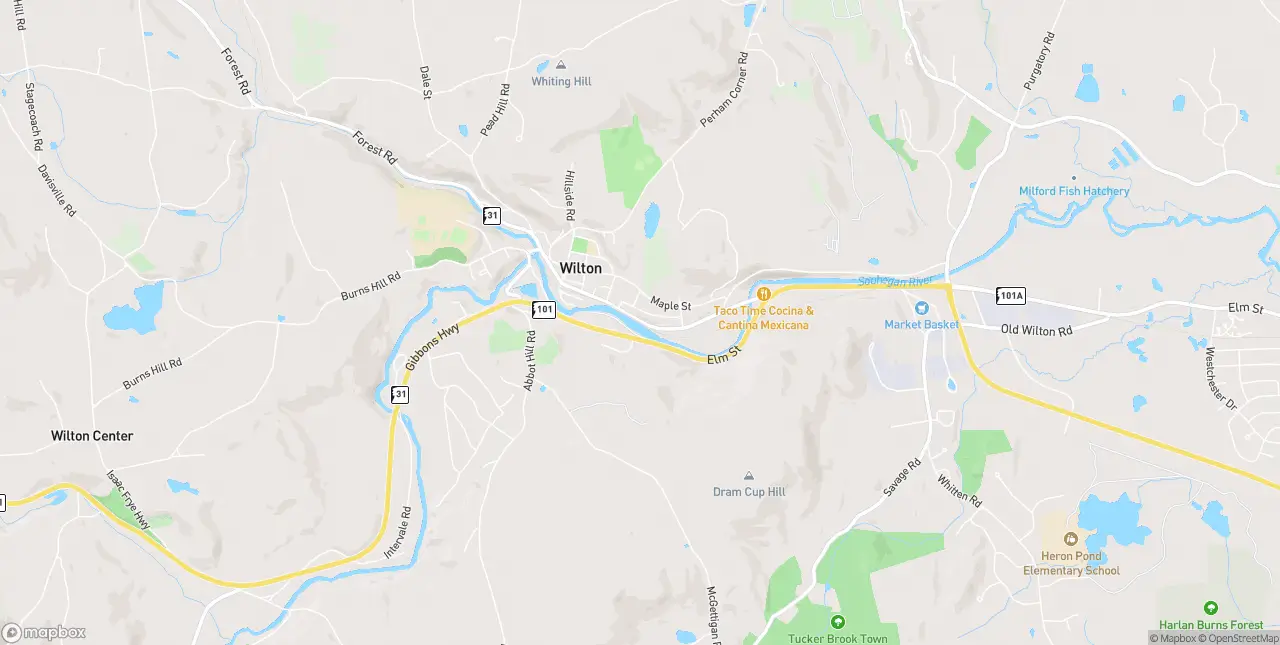 Internet in Wilton