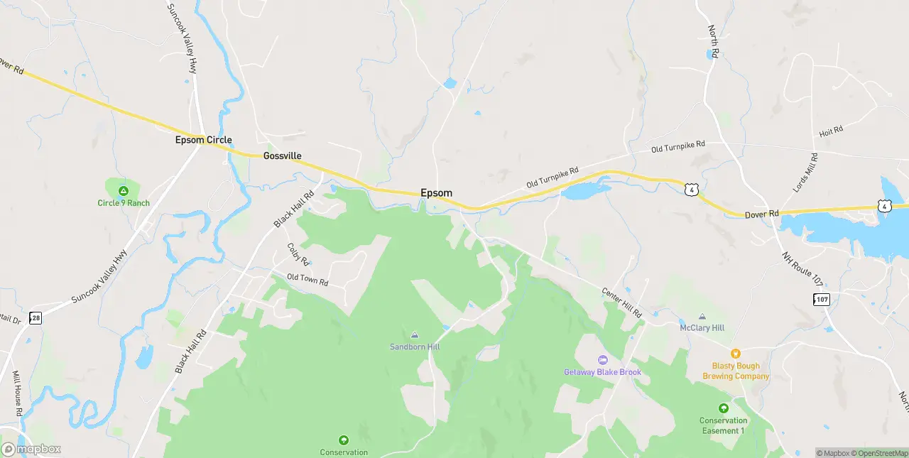 Internet en Epsom