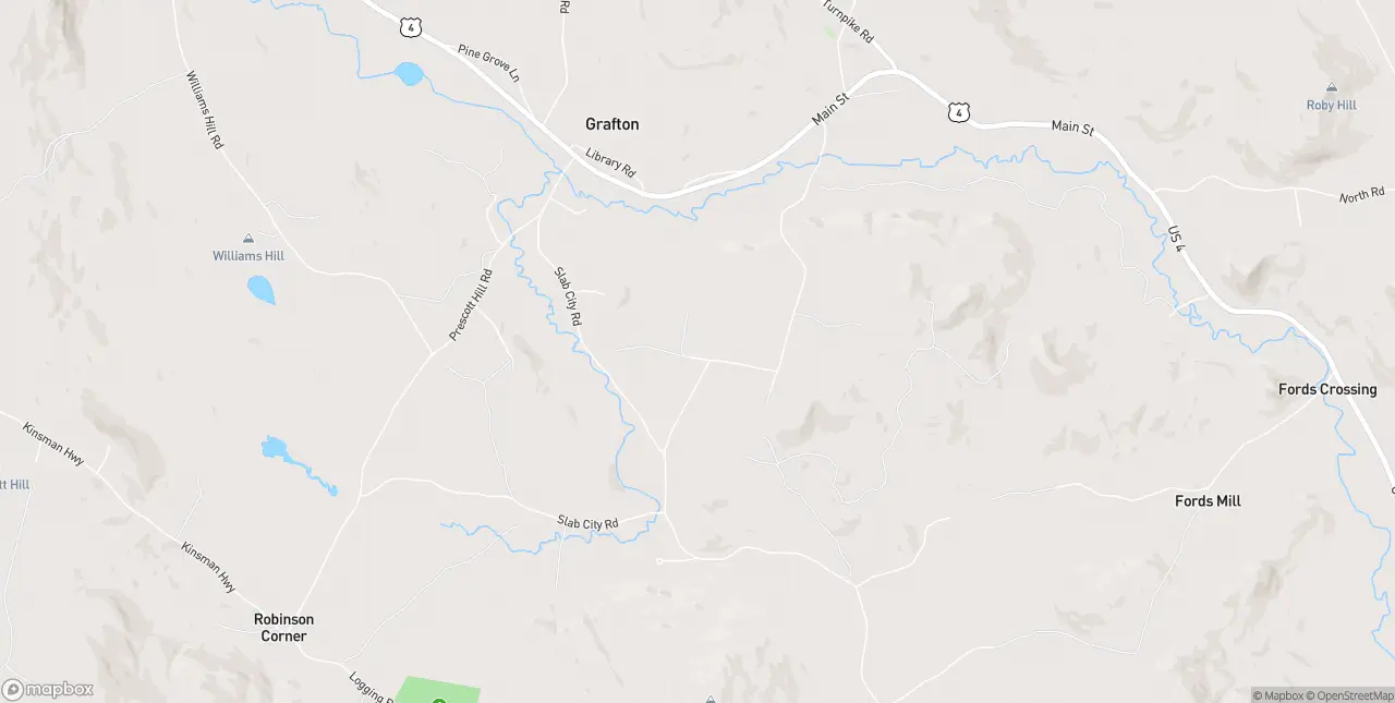 Internet in Grafton