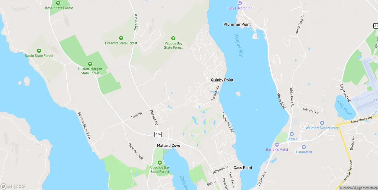 Internet in Laconia