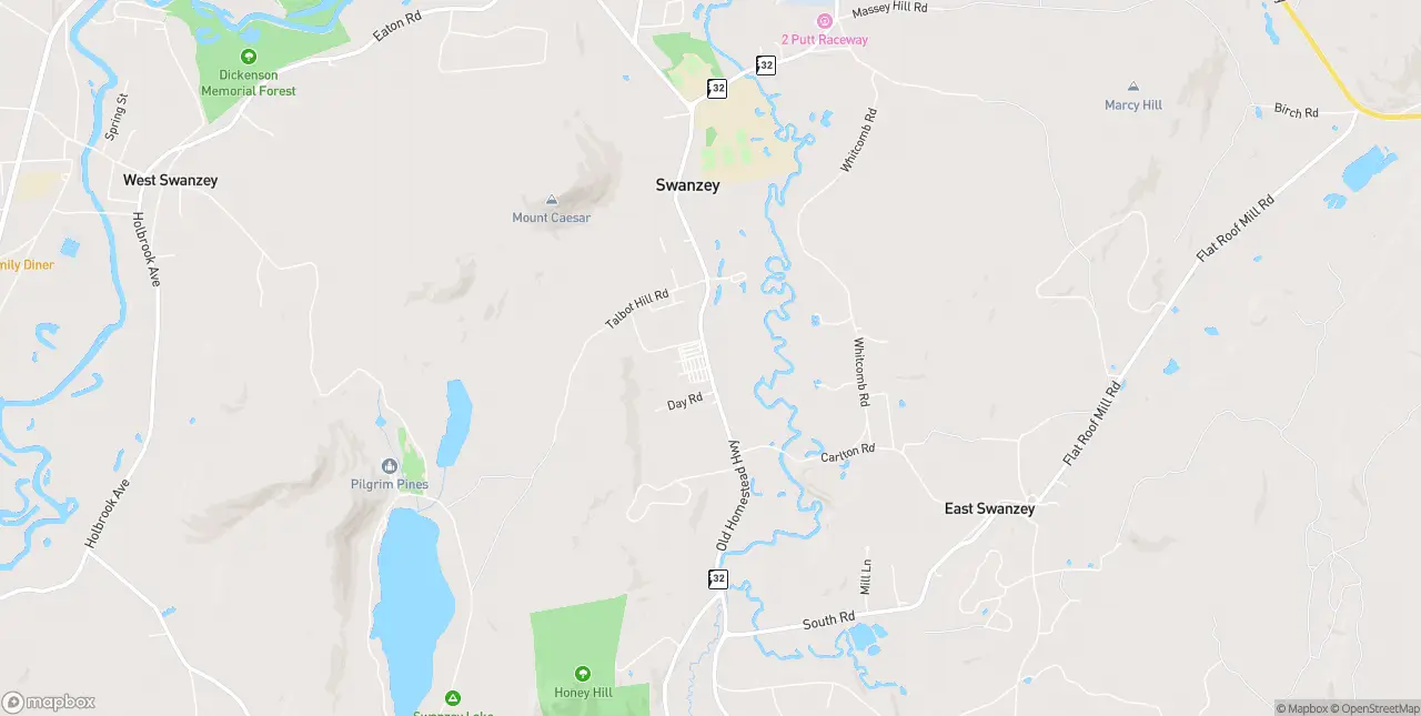Internet in Swanzey