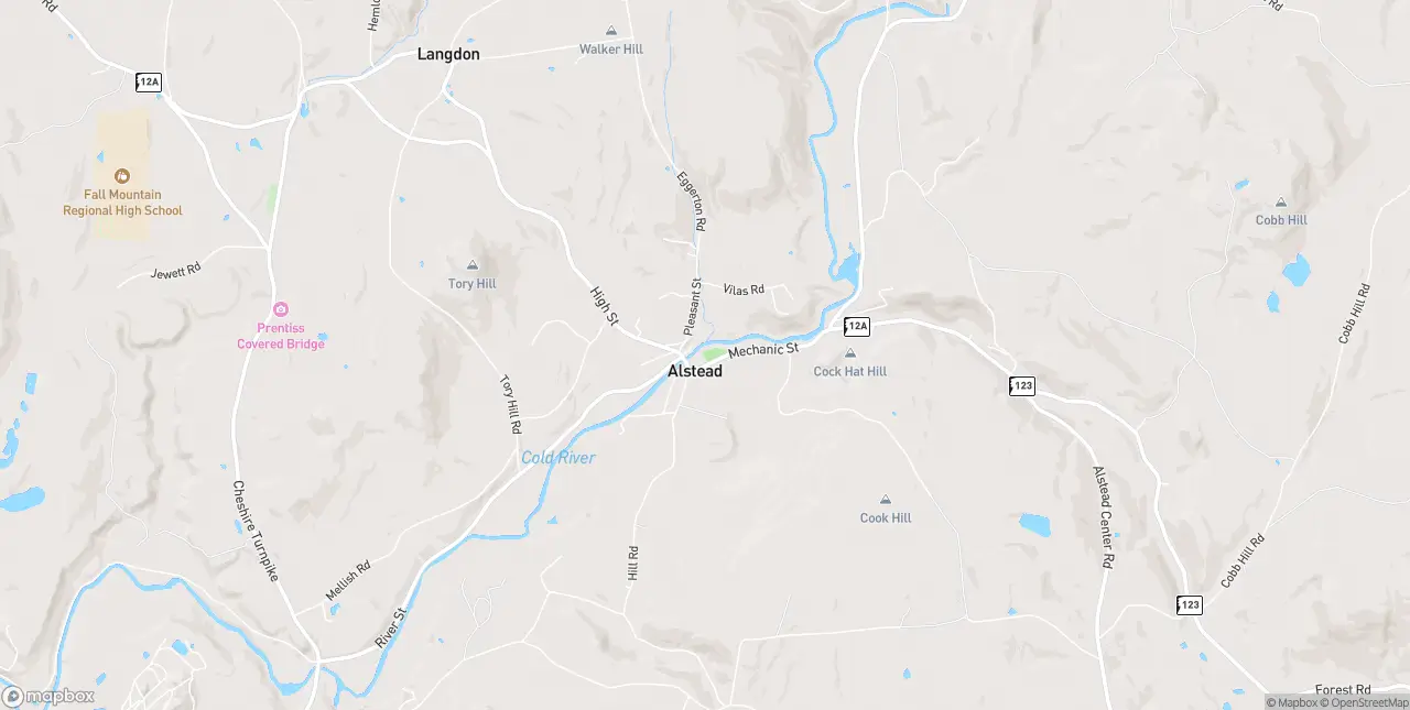 Internet in Alstead