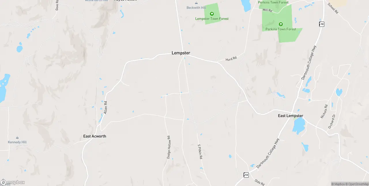 Internet in Lempster
