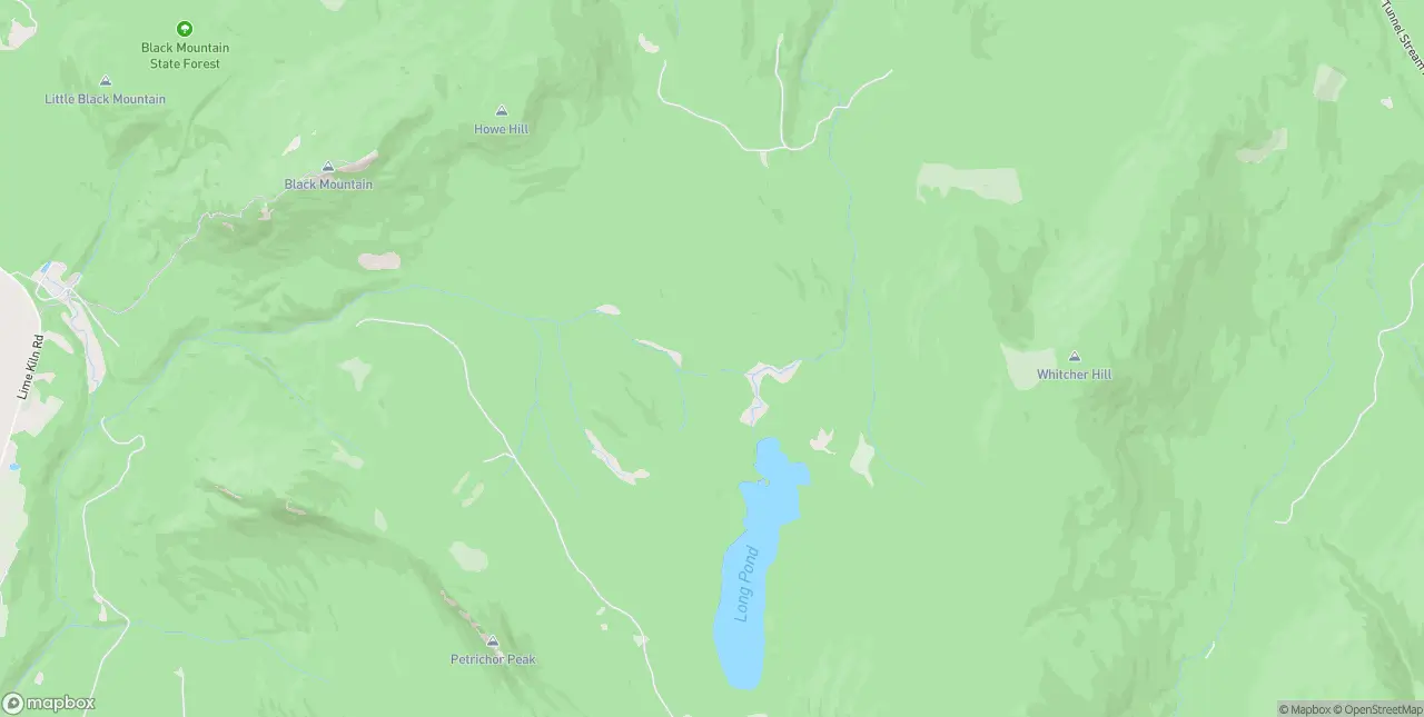 Internet in Woodsville