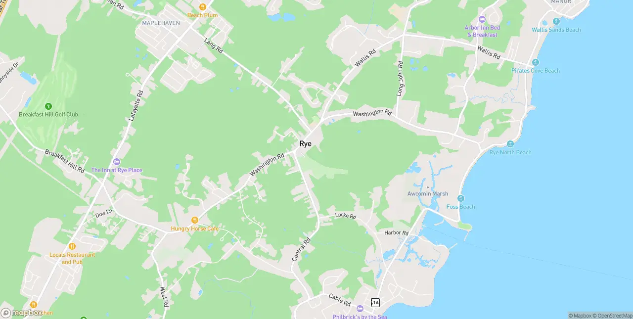 Internet in Rye