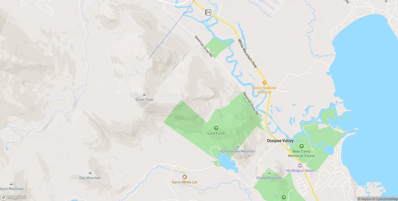 Internet in West Ossipee
